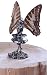 Butterfly Wing Fairy - Solus