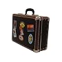 Cargo Cool On the Road Suitcase, 6 by 16-3/4 by 12-3/4-Inch