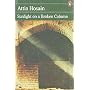Sunlight on a Broken Column