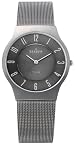 Skagen Titanium Gun Metal Mesh Mens Watch 233LTTMC
