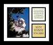 Mount Rushmore National Memorial Photos Parks