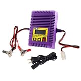 Super Brain 960 AC/DC Charger