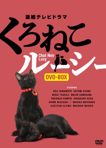 くろねこルーシー DVD-BOXの画像