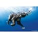 Steve Bloom (Swim, Elephant) Art Poster Print - 24x36