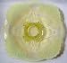 Vaseline Opalescent Glass Footed Shell Cake Plate Stand
