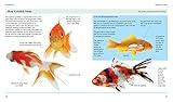 Mini Encyclopedia of Goldfish: Expert Practical Guidance on Keeping Goldfish Plus Detailed Profiles of All the Major Varieties Mini Encyclopedia of Goldfish: Expert Practical Guidance on Keeping Goldfish Plus Detailed Profiles of All the Major Varieties