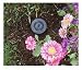 Sprinkler Key Hider image 2
