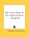Search : The Astral Plane In The Physical Plane - Pamphlet