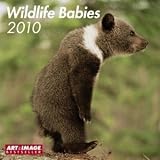 Produkt-Bild: Wildlife Babies 2010. Brosch&uuml;renkalender: 16-Monats-Kalender