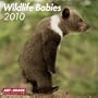 2010 Wildlife Babies A&I Grid Calendar (English, German, French, Italian, Spanish, Dutch and Russian Edition)