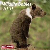 2010 Wildlife Babies A&I Grid Calendar (English, German, French, Italian, Spanish, Dutch and Russian Edition)