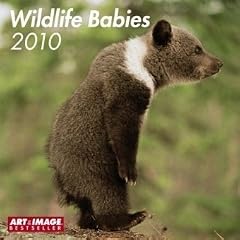 Wildlife Babies 2010. Brosch�renkalender: 16-Monats-Kalender