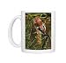 Photo Mugs of ME-1161 Europe / European / White-winged / Two-Barred CROSSBILL - male from Ardea Wildlife Pets