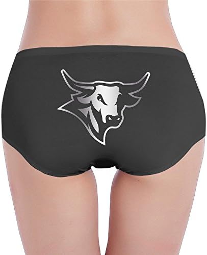 Nebraska Omaha Mavericks Platinum Logo Brief Panty Black
