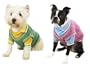 Preppy cable knit sweater & polo shirt mock twin set for dog pet apparel clothing