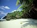 Coconut Grove, Dolly Beach Christmas Island, Indian Ocean Photographic Poster Print by Jan Aldenhoven, 16x12