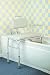 Transfer Bath Bench