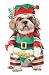Elf Pup Dog Costume - M