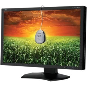 Best Price NEC Display MultiSync P241W 24' CCFL LCD Monitor - 16:10 - 8 ms. 24IN LCD MNTR 1920X1200 P241W-BK DUAL DVI-D VGA BLK CABINET LCD. Adjustable Display Angle - 1920 x 1200 - 16.7 Million Colors - 360 Nit - 1000:1 - DVI - VGA - USB - Black - RoHS