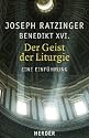 Der Geist der Liturgie: Eine Einführung