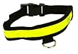 PET SAFETY ILLUMINATED 22" DOG COLLAR LARGE GLOW IN THE DARK