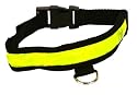 Ultra High-Visibility Reflective Dog Collar w/Flashing LED; Small size
