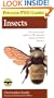 Peterson First Guide to Insects of North America (Peterson First Guide (R))