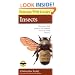 Peterson First Guide to Insects of North America (Peterson First Guide (R))