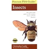 Peterson First Guide to Insects of North Americaby Christopher Leahy