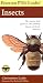 Peterson First Guide to Insects of North America
