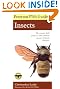 Peterson First Guide to Insects of North America (Peterson First Guide (R))