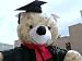 Search : 42-INCHES TALL GRADUATION TEDDY BEAR GIANT LARGE BIG PLUSH STUFFED ANIMAL TOY - CAP AND GOWN IMPORTED BUT BEAR ITSELF IS AMERICAN MADE IN THE USA AMERICA