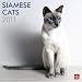 Siamese  Cats 2011 Square  12X12 Wall Calendar  (Multilingual Edition)