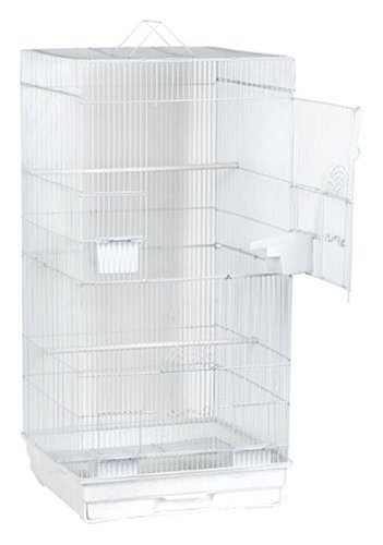 Blue Ribbon Extra Tall Square Style Roof Bird 