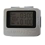 Gymboss GB2009 SILVER