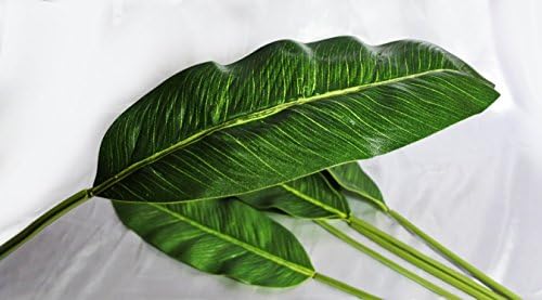 bird of paradise Leaves Set of 6