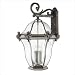 2446OI-ESDS - Hinkley Lighting - San Clemente X Large Wall Outdoor - Energy Savings/D...