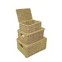 SEAGRASS STORAGE BASKET BOX WITH LID SET OF 3(new design)