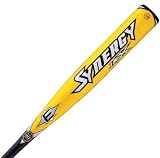 TeamExpress - Easton 2009 Synergy IMX -10 Youth Baseball Bat