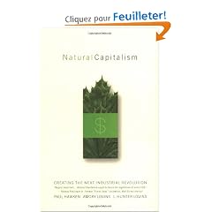 Natural Capitalism: Creating the Next Industrial Revolution