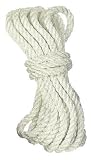 15' Stearns® 3/8' Twisted Nylon Dock Line Blue
