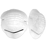 5 Pc Dust Masks