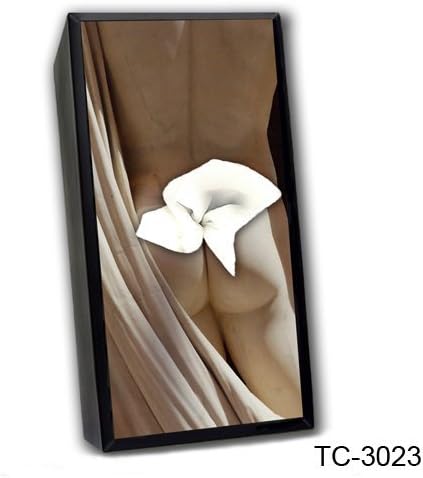 CARAVELLE TC-3023 Greek God Tissue Box Cover