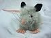 Opossum Plush Toy 12" Long
