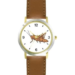 Brown Grasshopper or Grass Hopper or Cricket Insect - Animal - WATCHBUDDY® DELUXE TWO-TONE THEME WATCH - Arabic Numbers - Brown Leather Strap-Size-Children's Size-Small ( Boy's Size & Girl's Size )