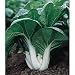 Bok Choy Pak Choi Chinese Cabbage 299 + Seeds
