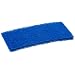 Carlisle 4072500 Nylon Medium Scrub Pad, 10-Inch (Case of 20)