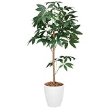 パキラトピアリー 高さ120cm 【人工観葉植物】 GREENシリーズ 光触媒 (GG84303-150)