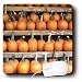 Sandy Mertens Halloween Food Designs - All Those Pumpkins - Mouse Pads