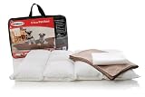Bindaboo 5 Star Pet Bed, Sandstone with Chocolate Piping